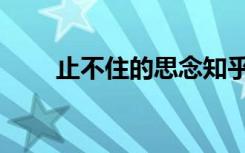 止不住的思念知乎（止不住的思念）