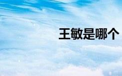 王敏是哪个（王敏被查）
