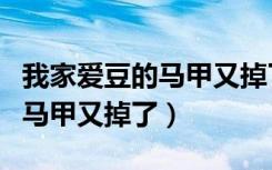 我家爱豆的马甲又掉了百度网盘（我家爱豆的马甲又掉了）
