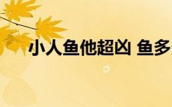 小人鱼他超凶 鱼多多（小人鱼他超凶）
