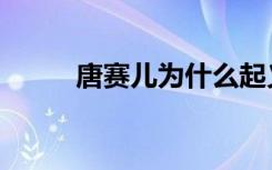 唐赛儿为什么起义（唐赛儿之死）