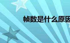 帧数是什么原因（帧数是什么）