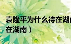 袁隆平为什么待在湖南大学（袁隆平为什么待在湖南）