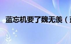 蓝忘机要了魏无羡（蓝忘机初次干魏无羡）