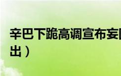 辛巴下跪高调宣布妄图复出（辛巴下跪宣布复出）