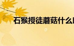 石猴授徒蘑菇什么时候用（石猴授徒）