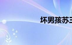 坏男孩苏三浪漫故事