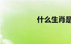什么生肖是同一条船？
