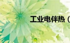 工业电伴热（电厂电伴热）