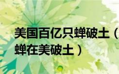 美国百亿只蝉破土（亿万只地下蛰伏17年的蝉在美破土）