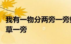 我有一物分两旁一旁好吃一旁香一旁眉山去吃草一旁