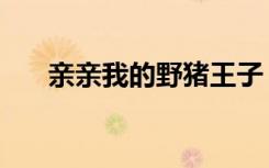 亲亲我的野猪王子（亲亲我的睡王子）