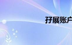 孖展账户（孖展）