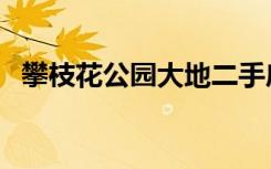 攀枝花公园大地二手房（攀枝花公园大地）