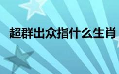 超群出众指什么生肖（超群出众打一生肖）