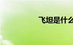 飞坦是什么系（飞坦）