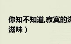 你知不知道,寂寞的滋味（你知不知道寂寞的滋味）