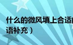 什么的微风填上合适的词语（什么的微风填词语补充）