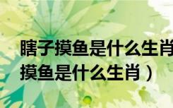 瞎子摸鱼是什么生肖,属蛇人性格特点（瞎子摸鱼是什么生肖）