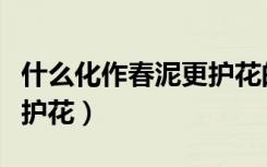 什么化作春泥更护花的诗句（什么化作春泥更护花）