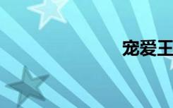 宠爱王宝爱奴