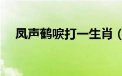 凤声鹤唳打一生肖（风声鹤唳打一生肖）