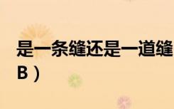是一条缝还是一道缝（只有一条缝的B是什么B）