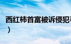 西红柿首富被诉侵犯著作权（西红柿首富侵权）