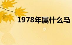 1978年属什么马（1978年属什么）