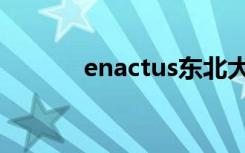 enactus东北大学（enactus）