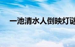 一池清水人倒映灯谜（一池清水人倒映）