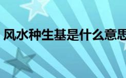 风水种生基是什么意思（种生基是什么意思）
