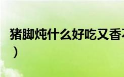 猪脚炖什么好吃又香不油腻（猪脚炖什么好吃）