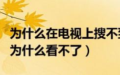 为什么在电视上搜不到亲爱的热爱的（亲爱的为什么看不了）