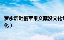 罗永浩吐槽苹果文案没文化false（罗永浩吐槽苹果文案没文化）