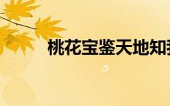 桃花宝鉴天地知我心（桃花宝鉴）