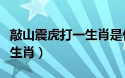 敲山震虎打一生肖是什么生肖（敲山震虎打一生肖）