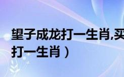 望子成龙打一生肖,买彩票买什么?（望子成龙打一生肖）