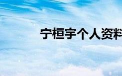 宁桓宇个人资料简介（宁恒宇）