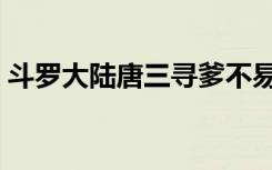 斗罗大陆唐三寻爹不易（斗罗大陆之寻三记）