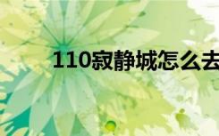 110寂静城怎么去（寂静城怎么去）