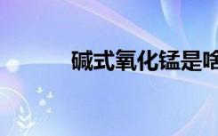 碱式氧化锰是啥（碱式氧化锰）