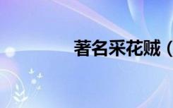 著名采花贼（极品采花贼）