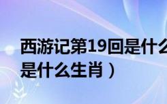 西游记第19回是什么生肖（西游记第十九回是什么生肖）