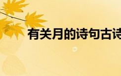有关月的诗句古诗（有关月的诗句）