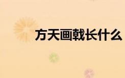 方天画戟长什么（方天画戟多长）