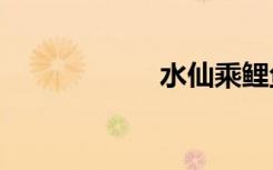 水仙乘鲤鱼去txt了