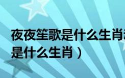 夜夜笙歌是什么生肖动物360问答（夜夜笙歌是什么生肖）