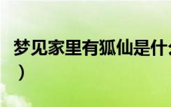 梦见家里有狐仙是什么意思（狐仙是什么意思）