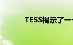 TESS揭示了一个不可能的星球